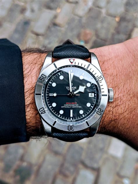 bacio buffon tudor|tudor black bay watch.